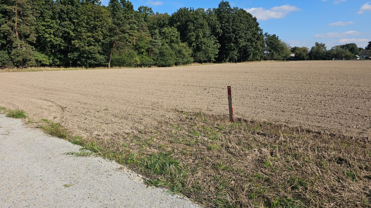 Działka budowlana Miodary. Zdjęcie 3