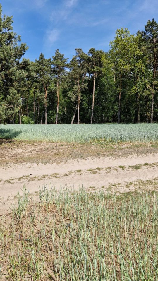 Działka budowlana Karszew. Zdjęcie 6