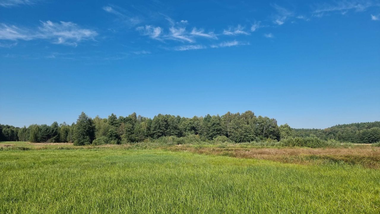 Działka leśna Piaski. Zdjęcie 5