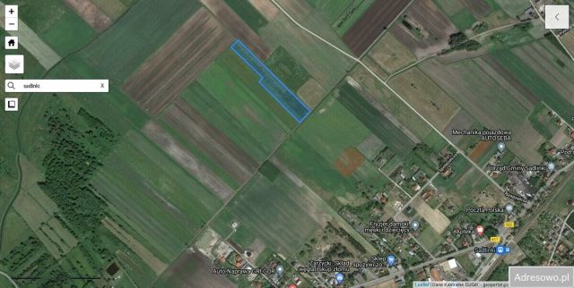 Działka rolna Sadlinki. Zdjęcie 1
