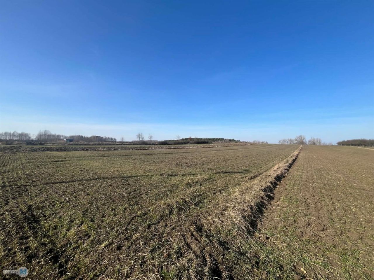 Działka Kostera. Zdjęcie 3