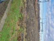 Działka rolno-budowlana Terespol Błotków Duży. Zdjęcie 1