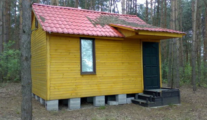 Działka leśna Boguszynek