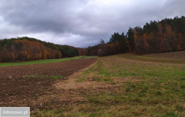 Działka rolno-budowlana Zelewo, ul. Brzozowa. Zdjęcie 1