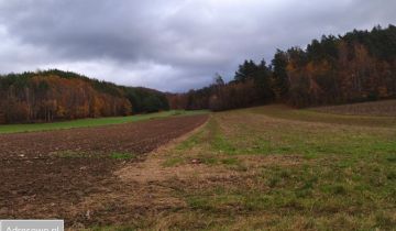 Działka rolno-budowlana Zelewo, ul. Brzozowa