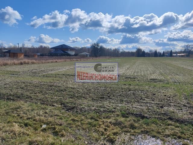 Działka budowlana Królewiec. Zdjęcie 3