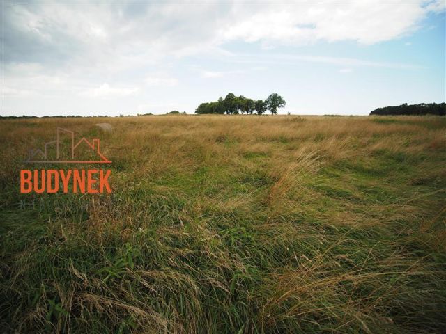 Działka rolna Rusinowo. Zdjęcie 11