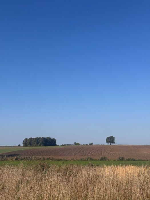 Działka budowlana Kaźmierz, ul. Czereśniowa. Zdjęcie 4