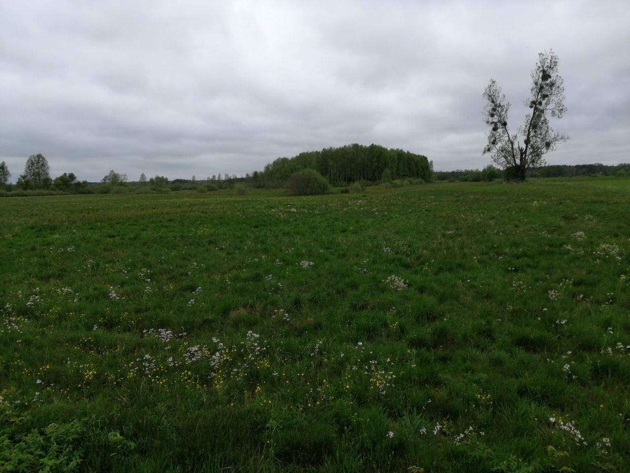 Działka rolno-budowlana Siemianówka, ul. Łąkowa. Zdjęcie 3