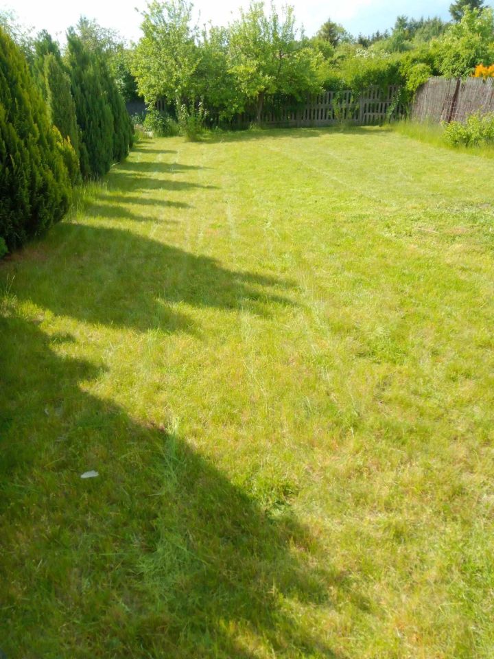 Działka rekreacyjna Myślibórz. Zdjęcie 6