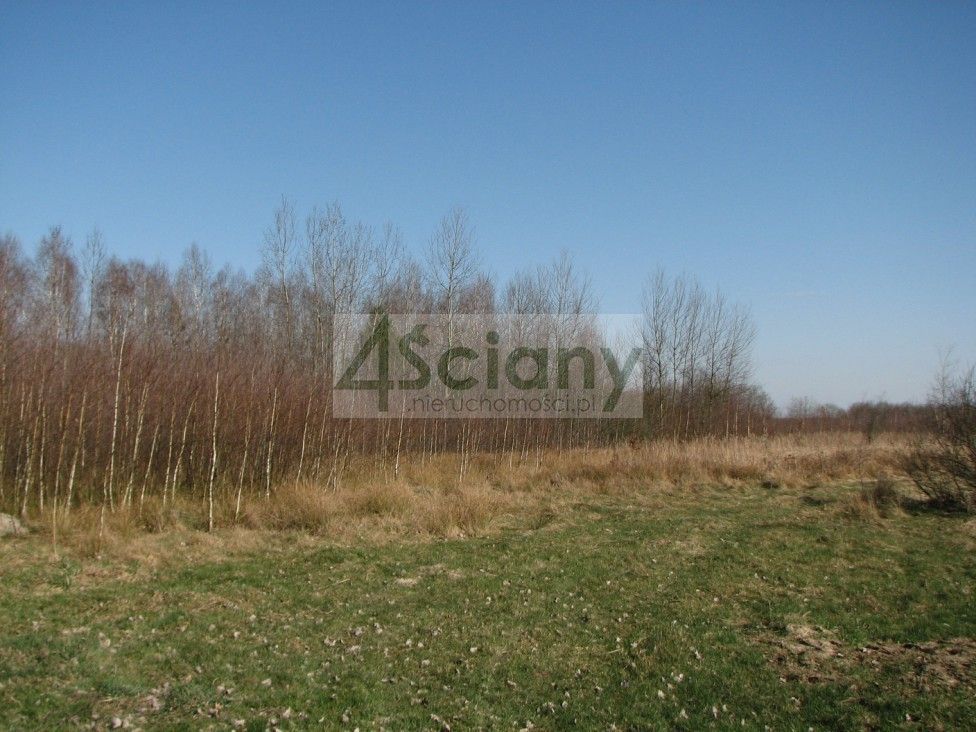 Działka budowlana Wierzchowisko. Zdjęcie 5