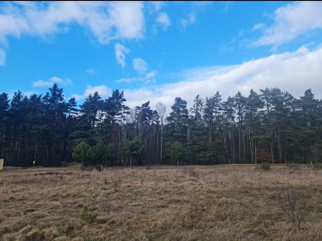 Działka budowlana Zimna Woda. Zdjęcie 12