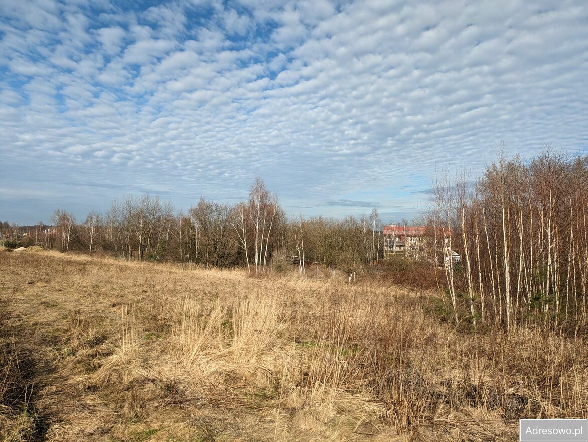 Działka budowlana Okmiany. Zdjęcie 2