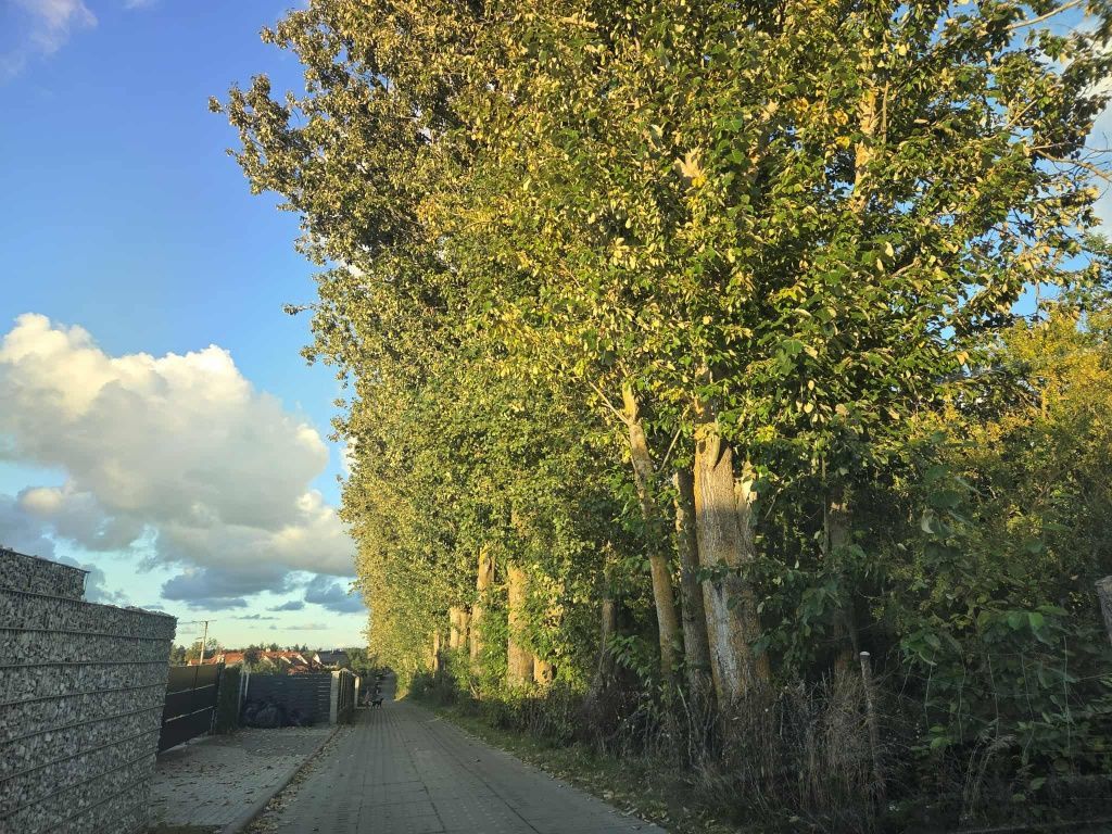 Działka budowlana Gdańsk Bysewo. Zdjęcie 3