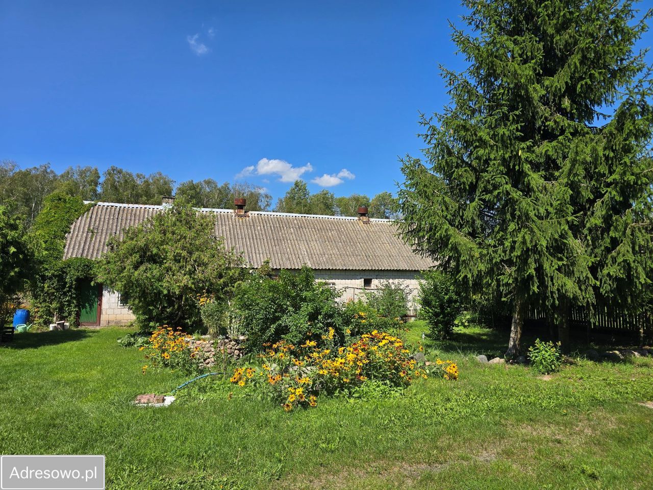 siedlisko, 3 pokoje Kuraszewo. Zdjęcie 10