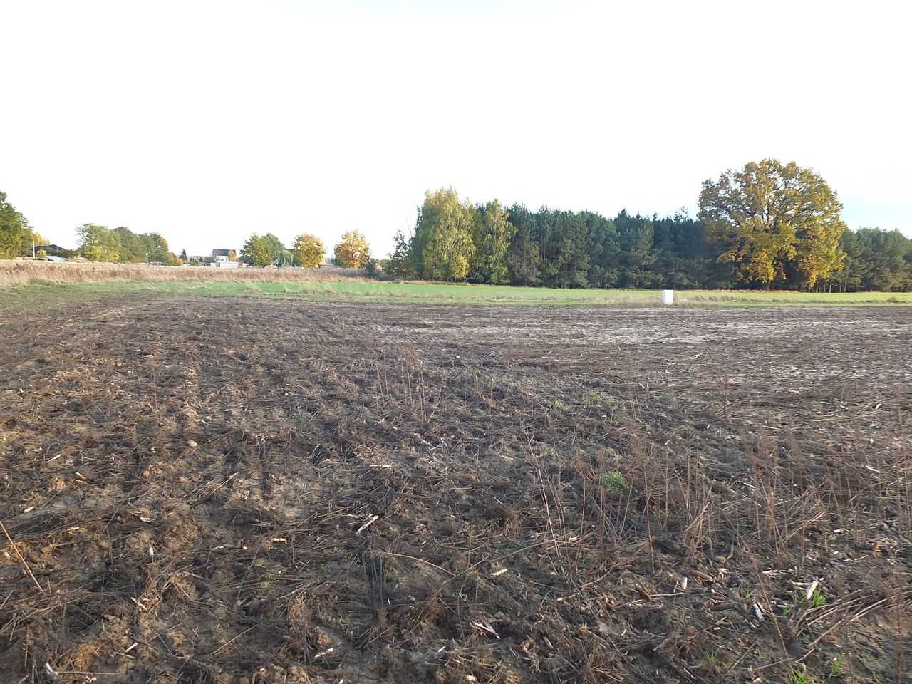 Działka budowlana Janów Ruszki. Zdjęcie 7