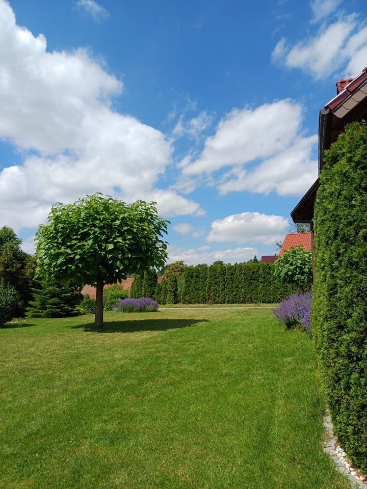 dom wolnostojący Raszów. Zdjęcie 6