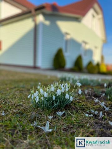 dom wolnostojący, 5 pokoi Jareniówka. Zdjęcie 22