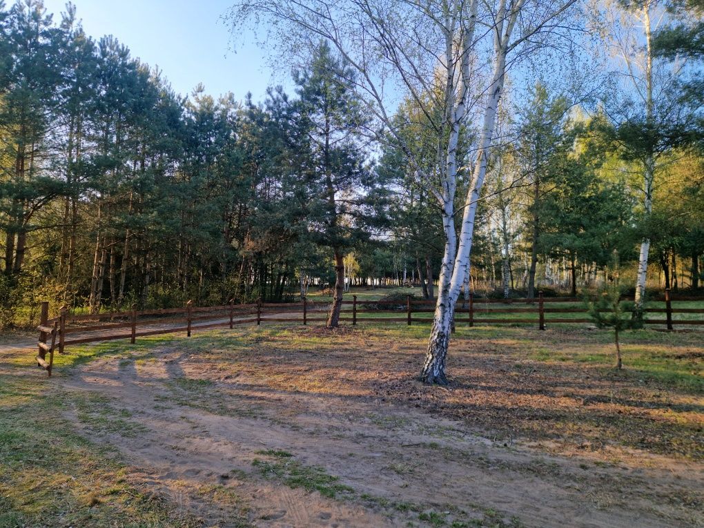 Działka rekreacyjna Chorzeszów. Zdjęcie 5