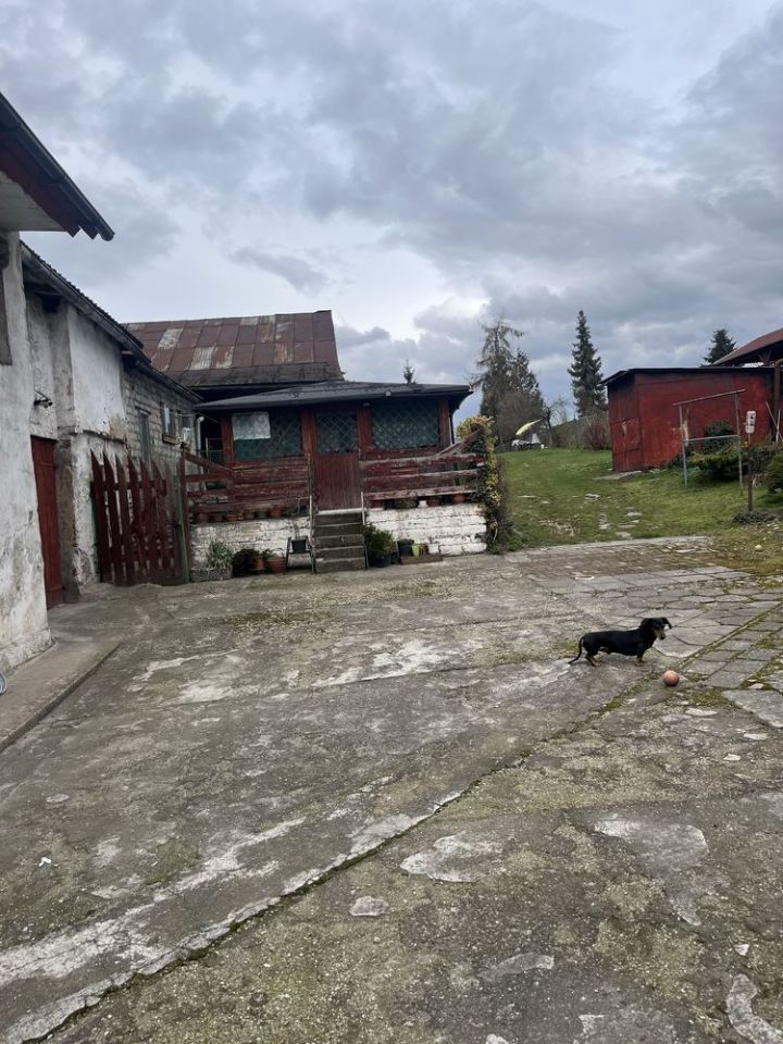 gospodarstwo Dytmarów. Zdjęcie 5
