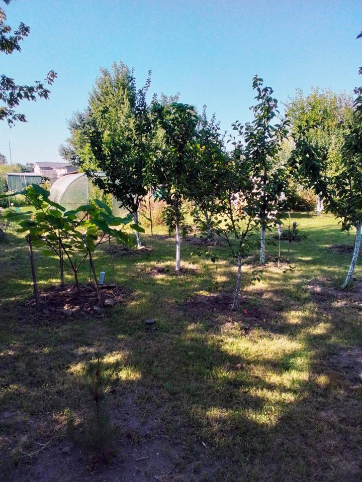 dom wolnostojący, 3 pokoje Drwalew, ul. Słoneczna. Zdjęcie 14