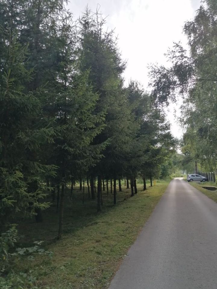 Działka rekreacyjna Budzów. Zdjęcie 4