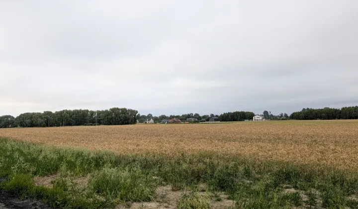 Działka budowlana Strzeżenice
