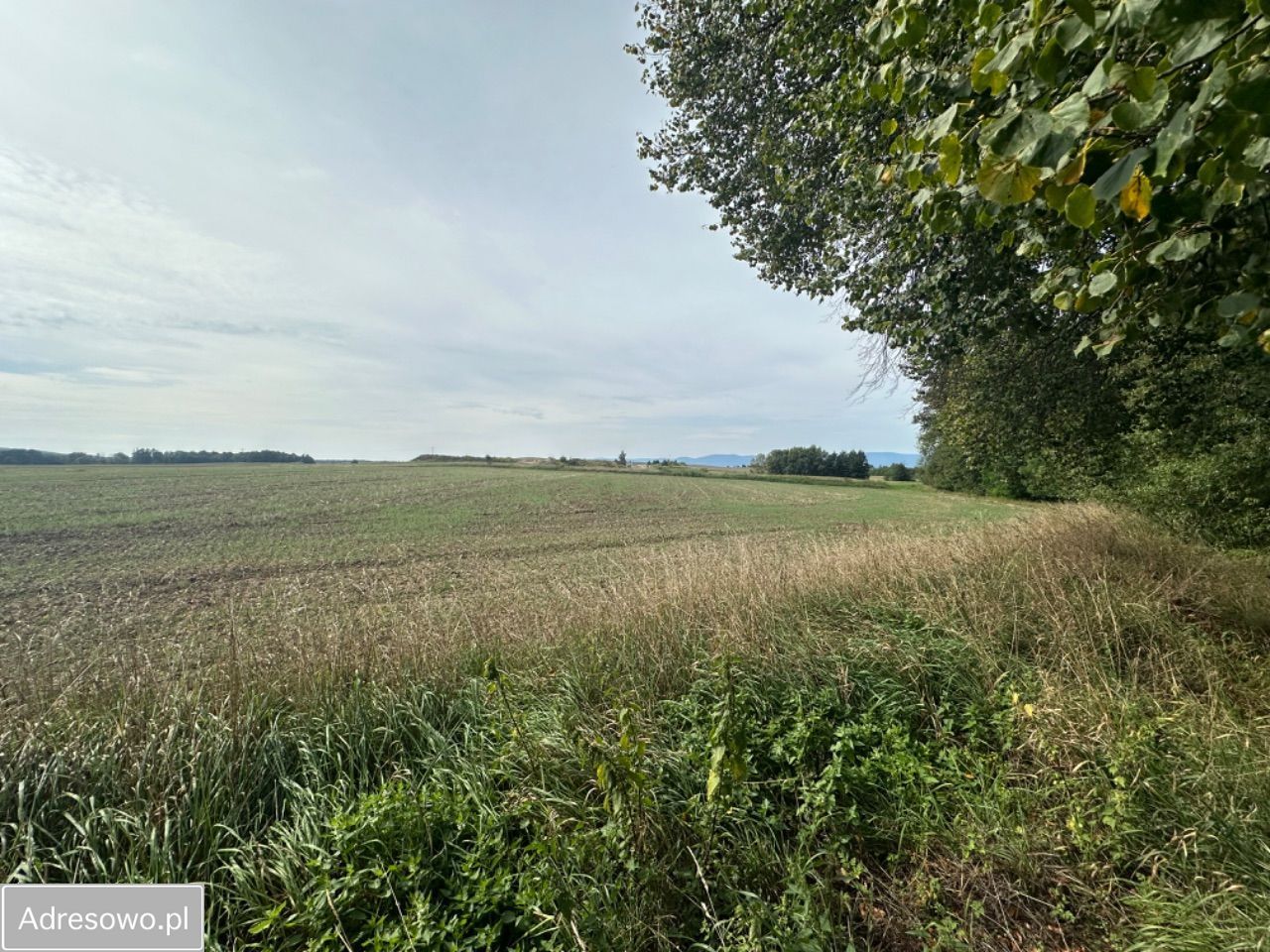 Działka budowlana Jaźwina. Zdjęcie 8