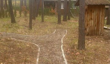 Działka leśna Poddębie, ul. Wesoła