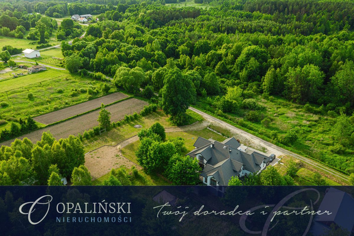 dom wolnostojący, 12 pokoi Puchacze