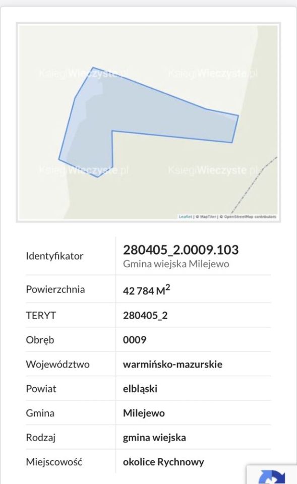 Działka leśna Rychnowy. Zdjęcie 2