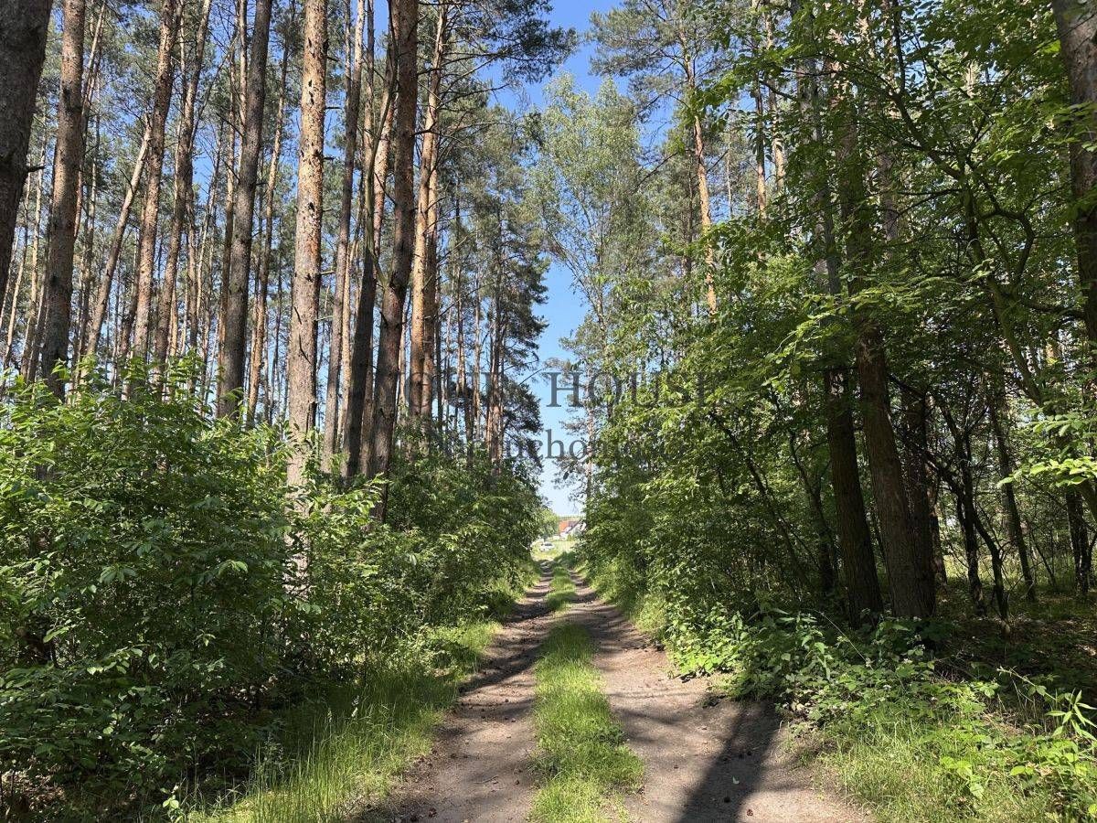 Działka budowlana Miłoszyce. Zdjęcie 10