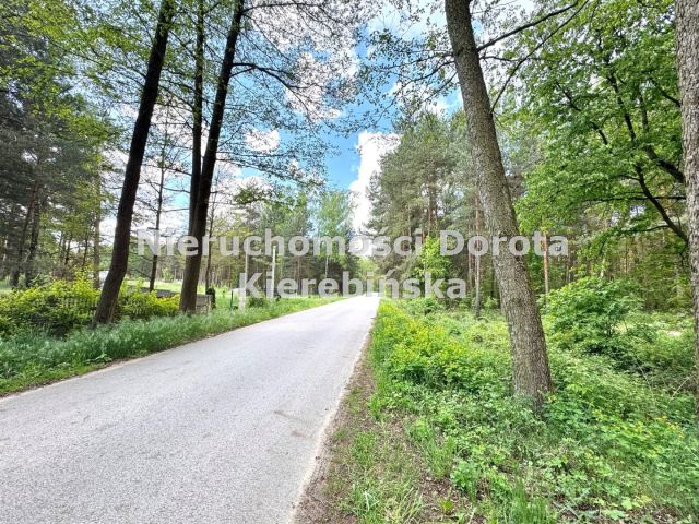 Działka inwestycyjna Bukowiec nad Pilicą. Zdjęcie 18