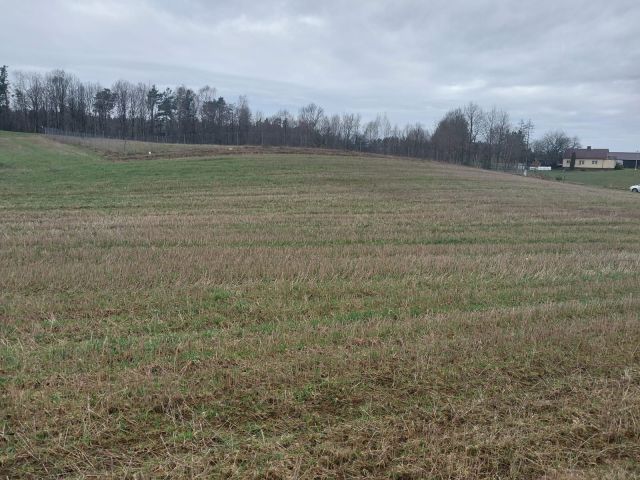 Działka budowlana Gowidlino. Zdjęcie 1