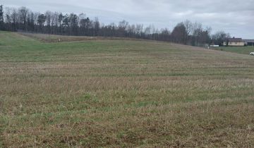 Działka budowlana Gowidlino