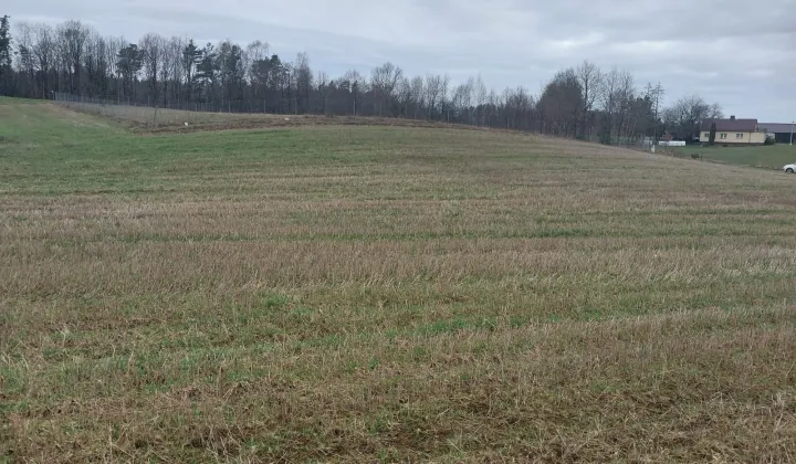 Działka budowlana Gowidlino