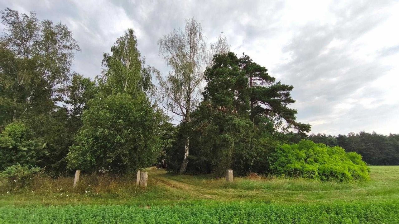 Działka siedliskowa Granne. Zdjęcie 2