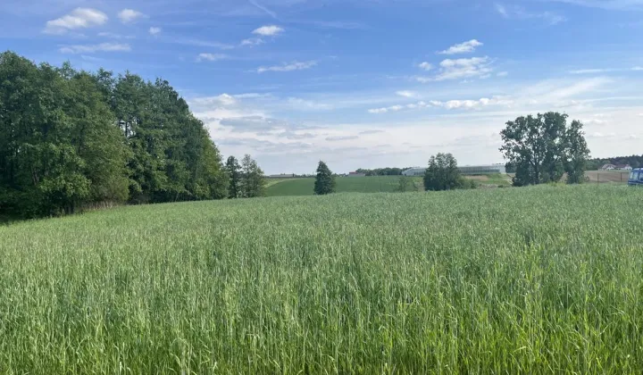 Działka budowlana Pamięcin