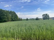 Działka budowlana Pamięcin