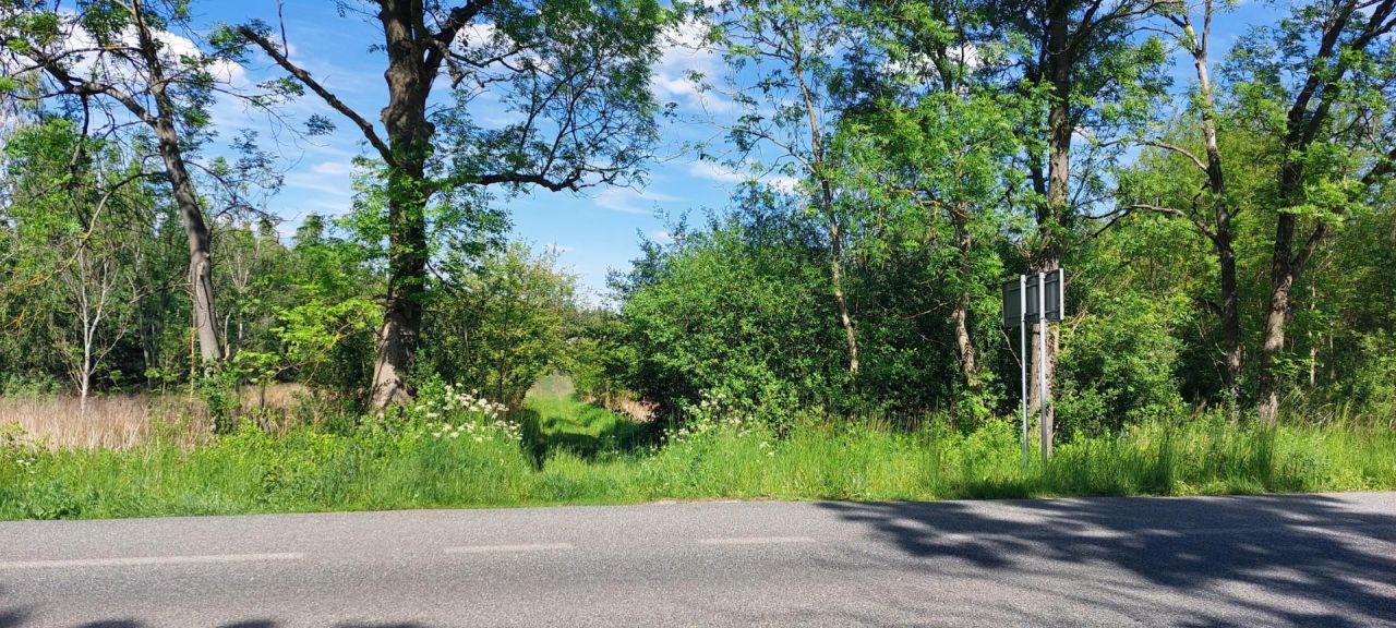 Działka rolno-budowlana Kołbiel. Zdjęcie 2