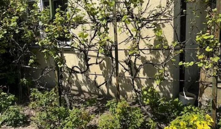 Działka rod Poznań Strzeszyn, ul. Melchiora Wańkowicza