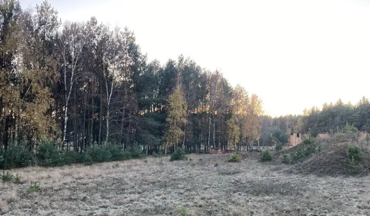 Działka budowlana Lipiny