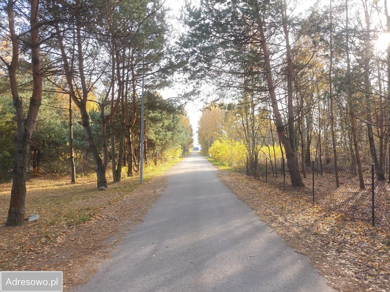 Działka budowlana Stare Skoszewy. Zdjęcie 6