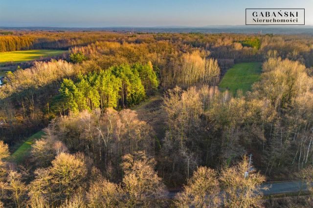 Działka budowlana Zaczarnie. Zdjęcie 4