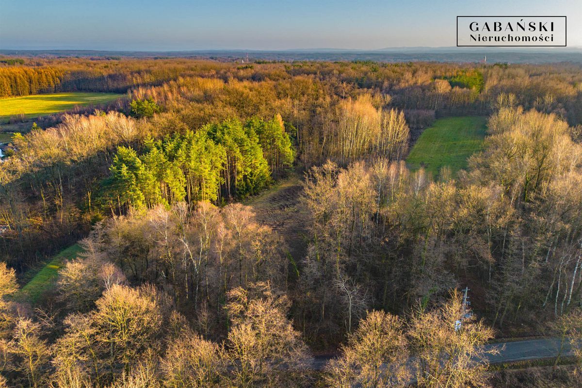 Działka budowlana Zaczarnie. Zdjęcie 4