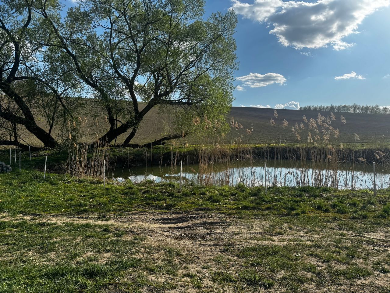 Działka rolno-budowlana Błędowa Zgłobieńska. Zdjęcie 9