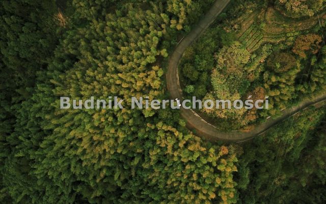 Działka inwestycyjna Słojniki. Zdjęcie 1