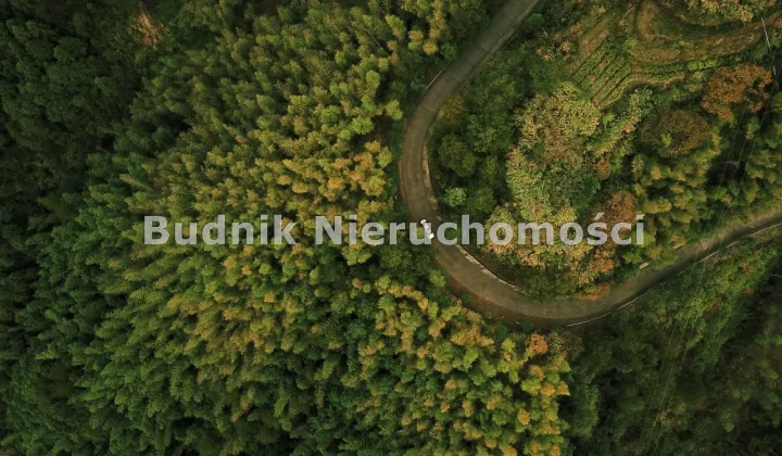 Działka inwestycyjna Słojniki