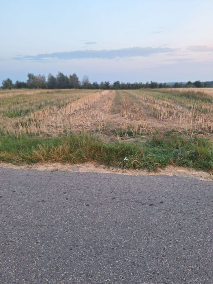 Działka budowlana Godów. Zdjęcie 4