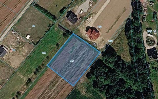 Działka siedliskowa Głuchów Dolny. Zdjęcie 1